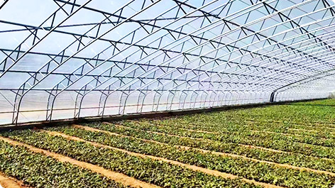 Sera için Boru Fabrikası